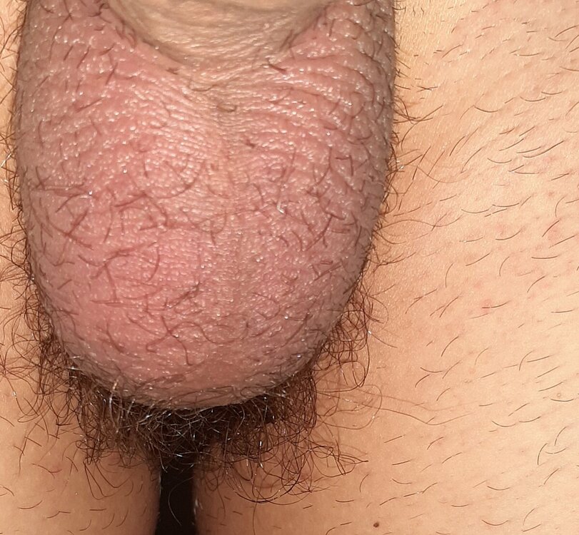 20231025_202039.jpg