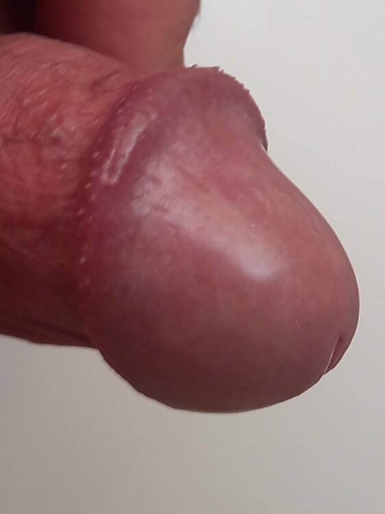 20231026_095336.jpg