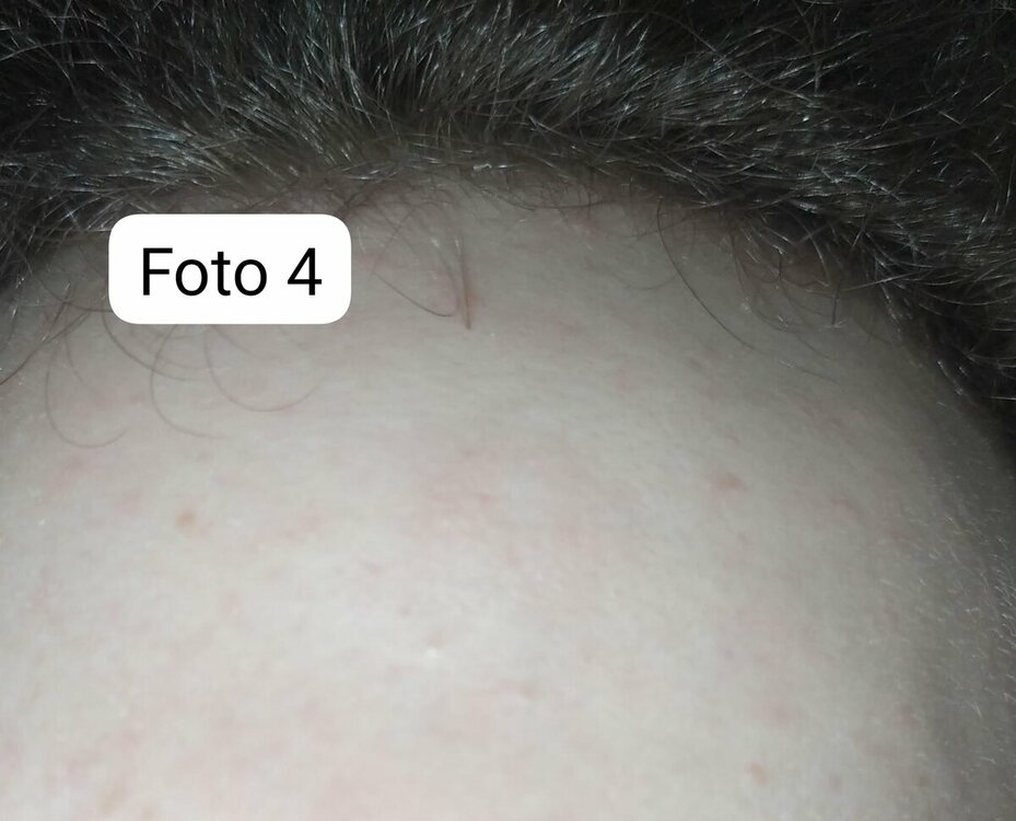 foto 4.jpg