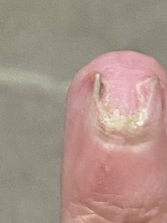 EB8D36A2-9D99-4AAD-A581-B9DD6851373A.thumb.jpeg.8c16619a41dfe7f4b442526e16fea03f.jpeg