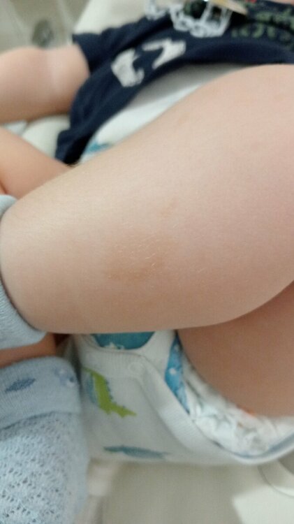 IMG-20231012-WA0007.jpeg