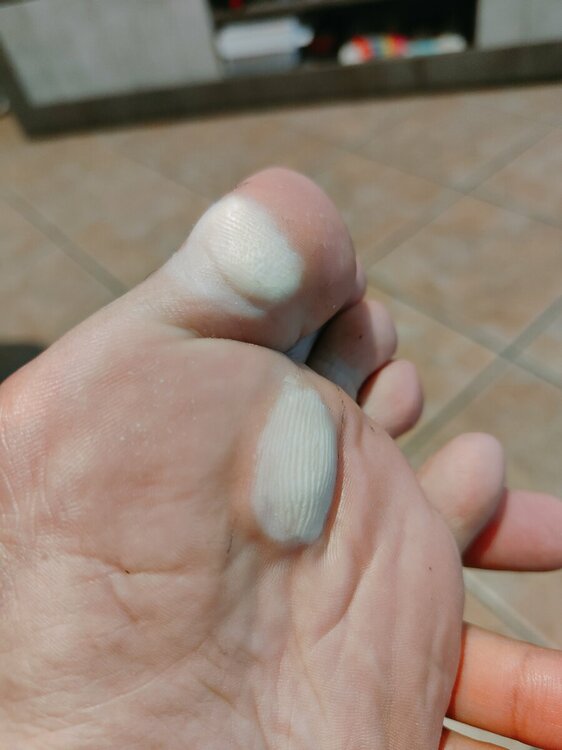 IMG20231006184256.jpg