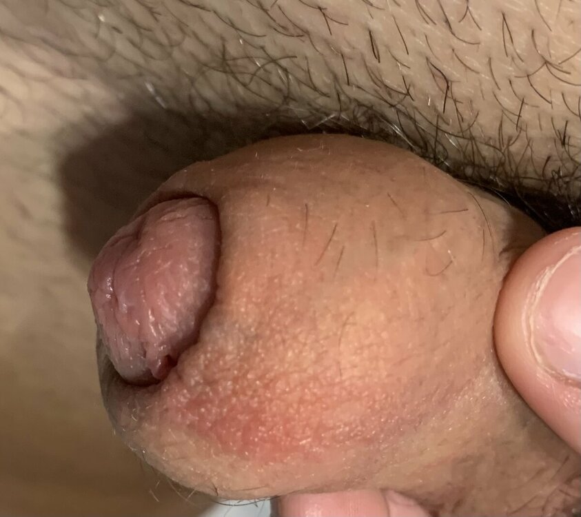 IMG_0053.jpeg