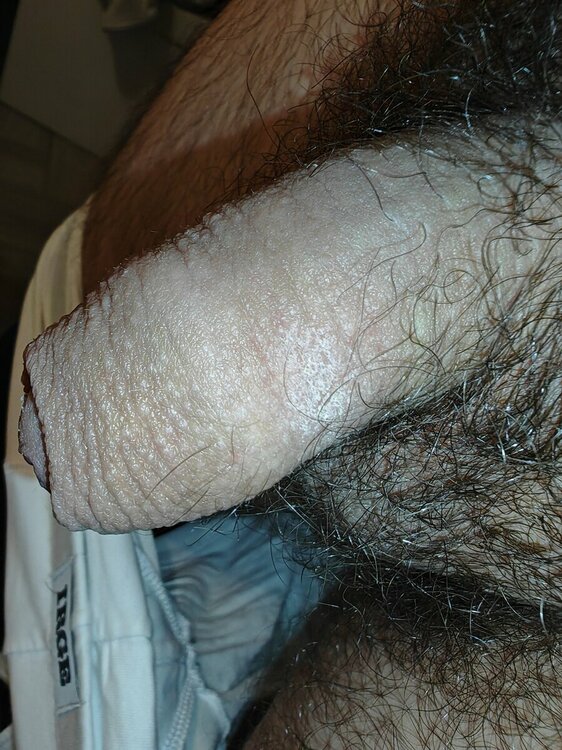 IMG_20231023_063941.jpg