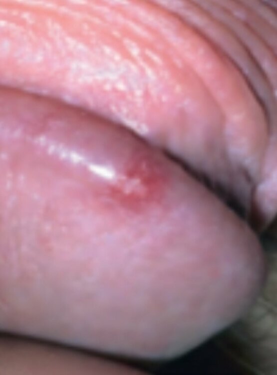 IMG_20231028_103310.thumb.jpg.161264c2d1216ac4d8cd9260a62d1c92.jpg