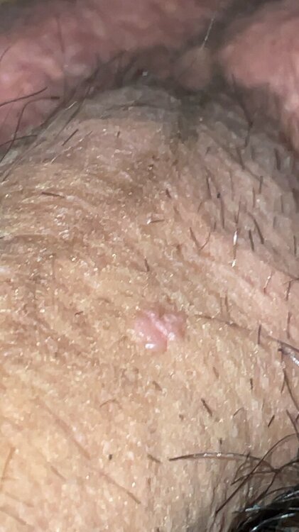 IMG_2208.jpeg