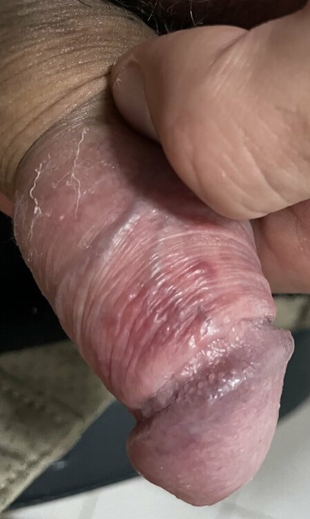 IMG_3656.jpeg