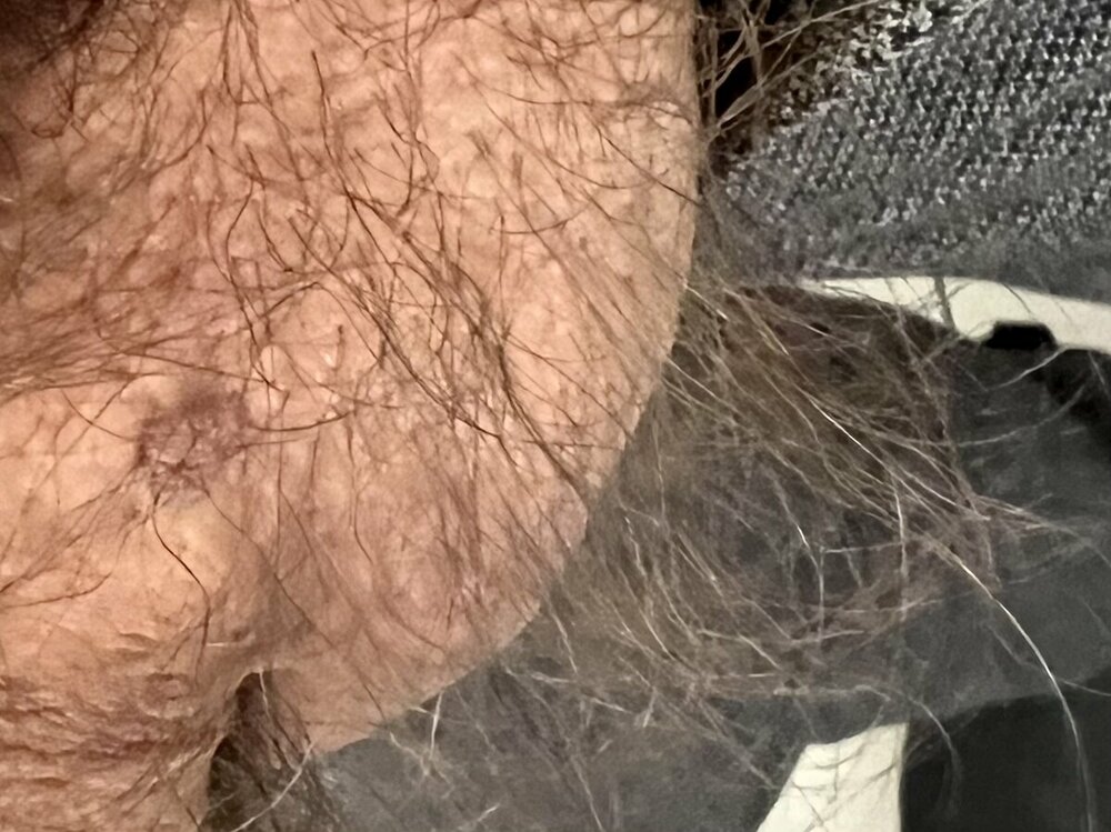 IMG_3662.jpeg