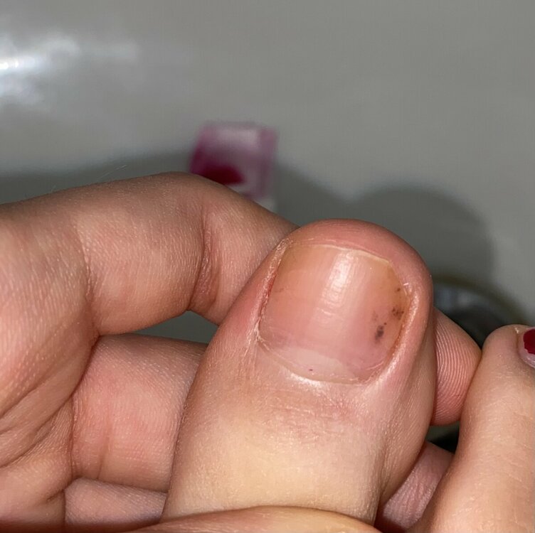 IMG_3868.jpeg