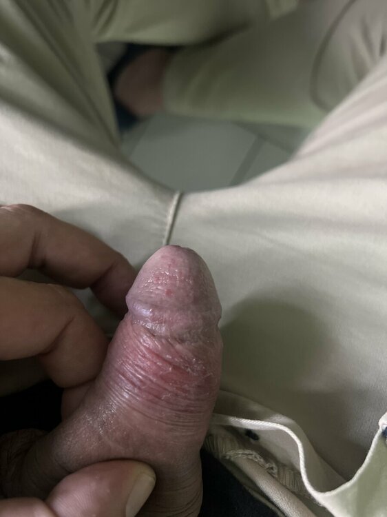 IMG_6688.jpeg
