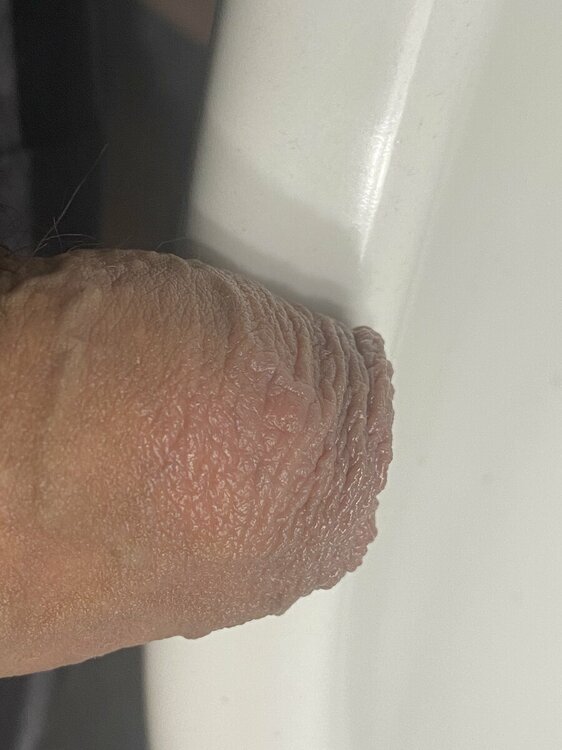 IMG_7713.jpeg