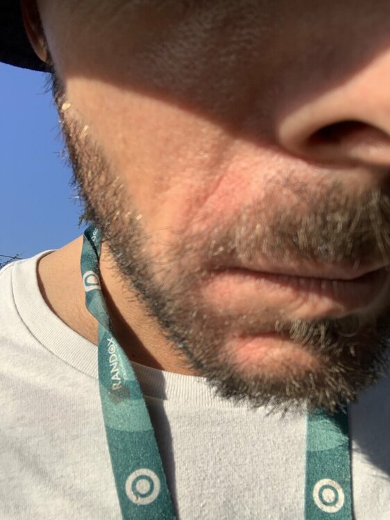 IMG_8378.jpeg