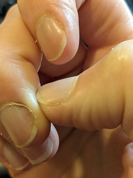 PXL_20231023_092415466_MP.thumb.jpg.52af3c72e8a60b3e786d092f9c853236.jpg