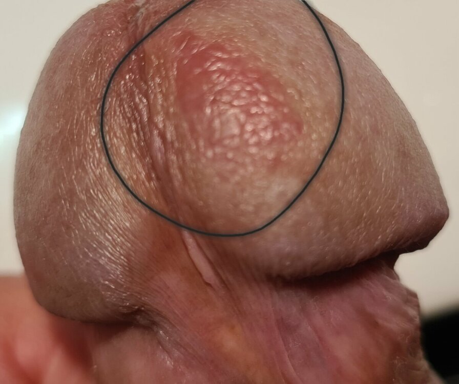 20231115_174656.jpg