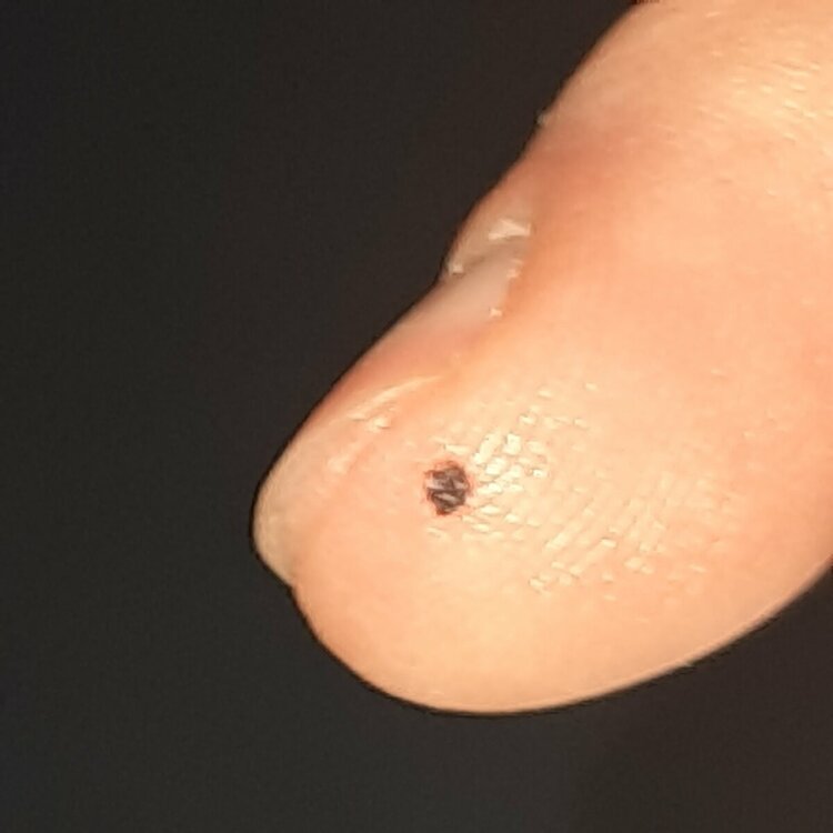 20231119_120441.jpg