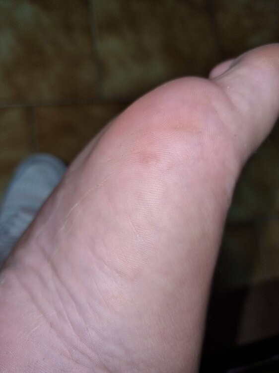 20231123_082202.jpg