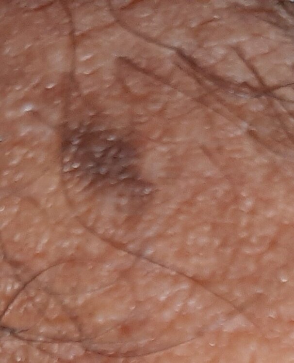 20231123_082826.thumb.jpg.e22b42f1236090f664dcfc7ce854cec0.jpg