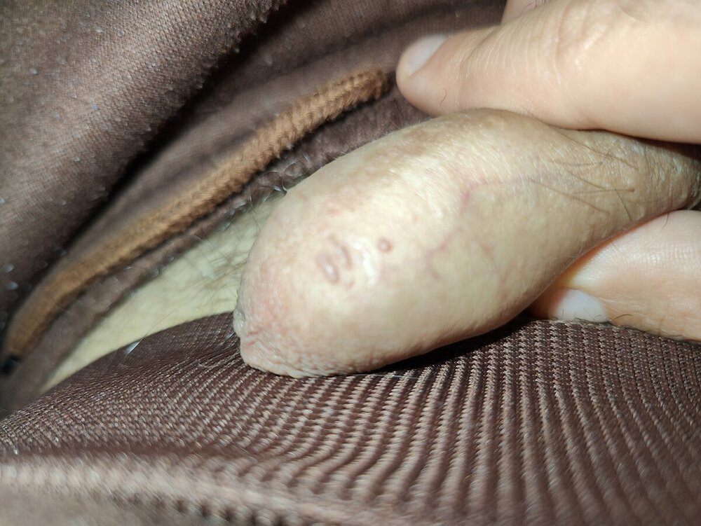 IMG20231105165212.jpg