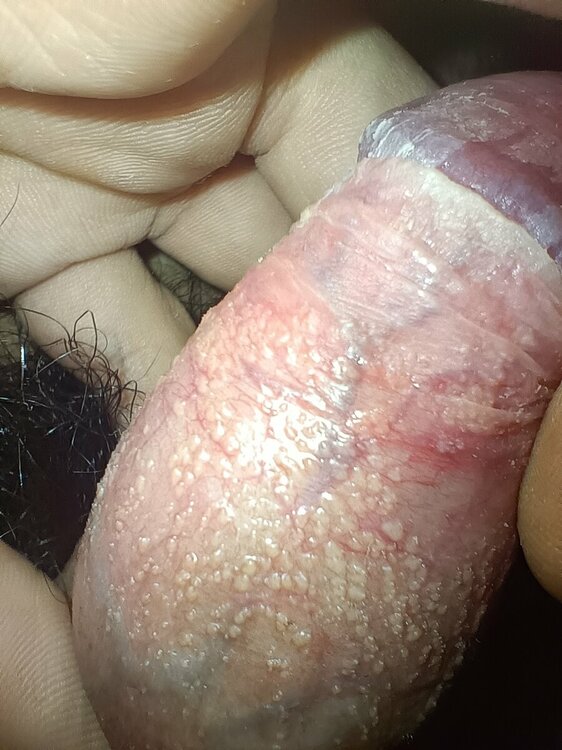 IMG20231109131713.jpg