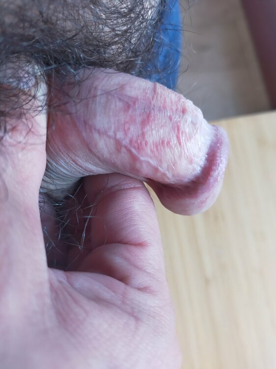 IMG20231110113156.jpg