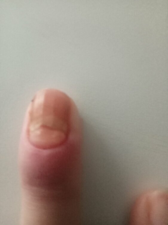 IMG20231112134748.jpg