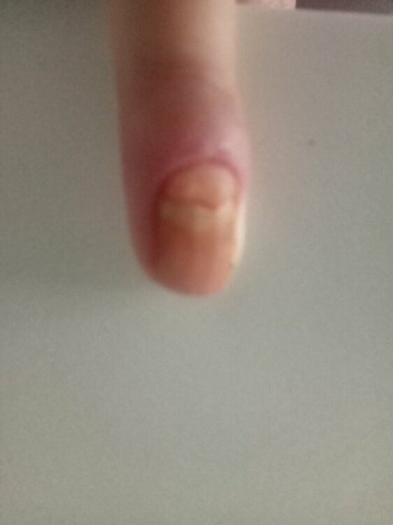 IMG20231112134901.jpg