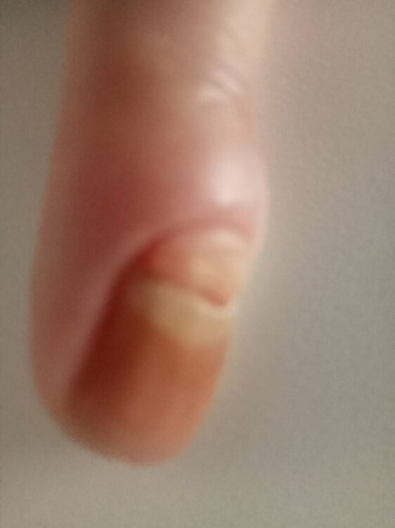 IMG20231112135047.jpg
