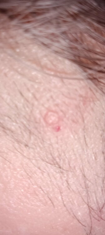 IMG20231113192753.jpg