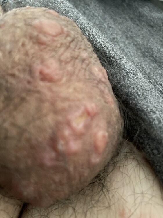 IMG_4974.jpeg