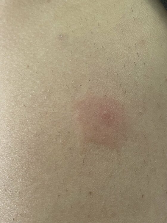 IMG_5033.jpeg