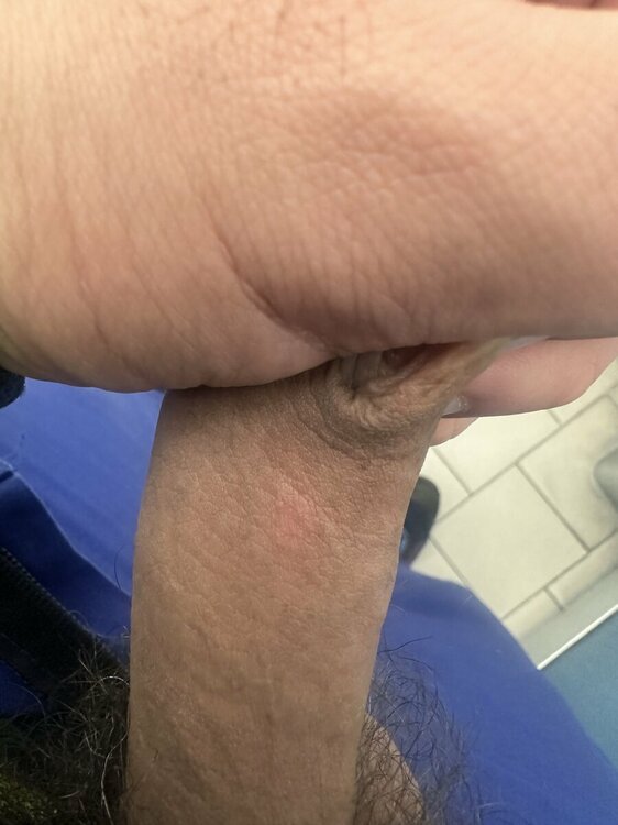 IMG_5270.jpeg