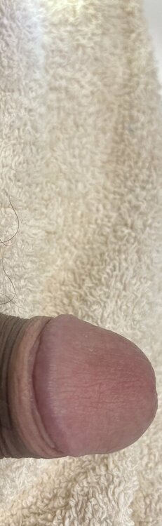 IMG_6325.thumb.jpeg.405c190344c3c3abd8ef55c53d965378.jpeg