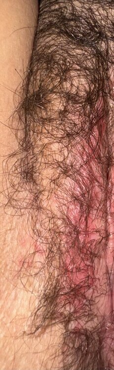 IMG_6908.thumb.jpeg.dd96119d20e08e08a7296cad0196b162.jpeg