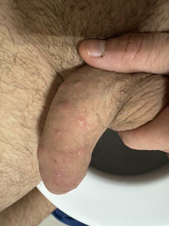 IMG_8859.jpeg