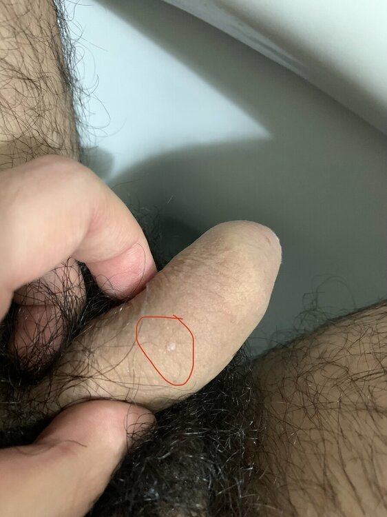 IMG_9020.jpeg