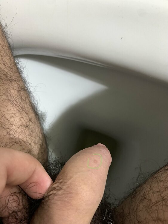 IMG_9022.jpeg
