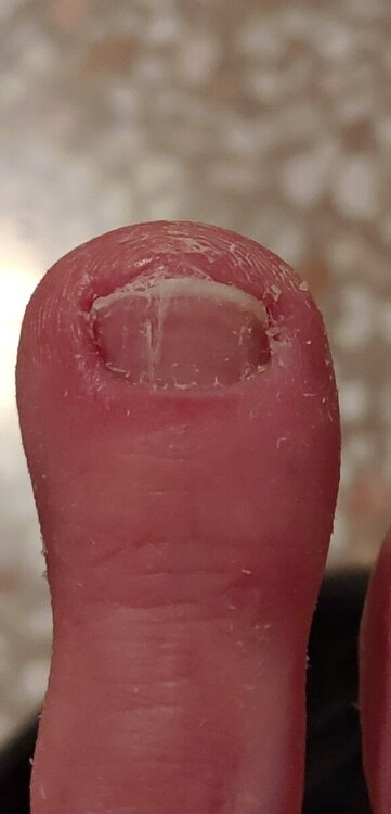 P_20231128_230445_1.thumb.jpg.fd630a885a9869d39a30dcb50a2697d6.jpg