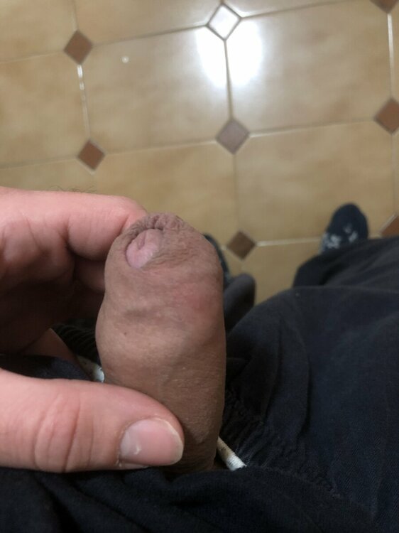 image.thumb.jpg.2289232cdb26df2715bf1734ccf5e4f3.jpg