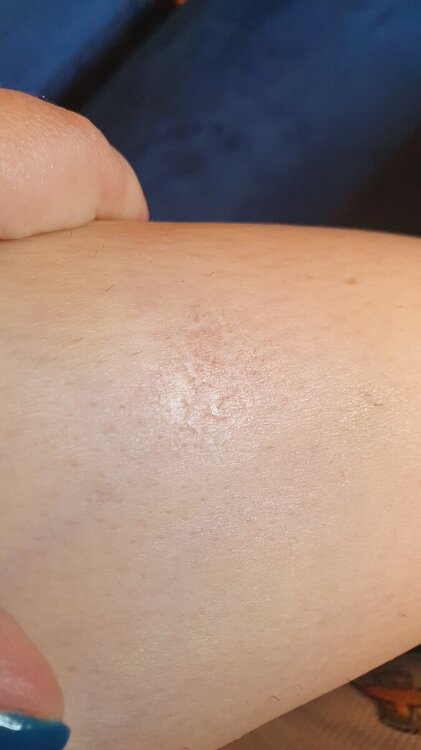20231031_131132.jpg