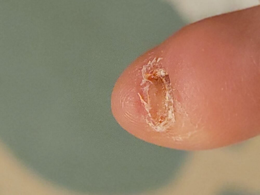 20231216_212125.thumb.jpg.57c5c7055aa0da90ef7aa44bb21ca035.jpg