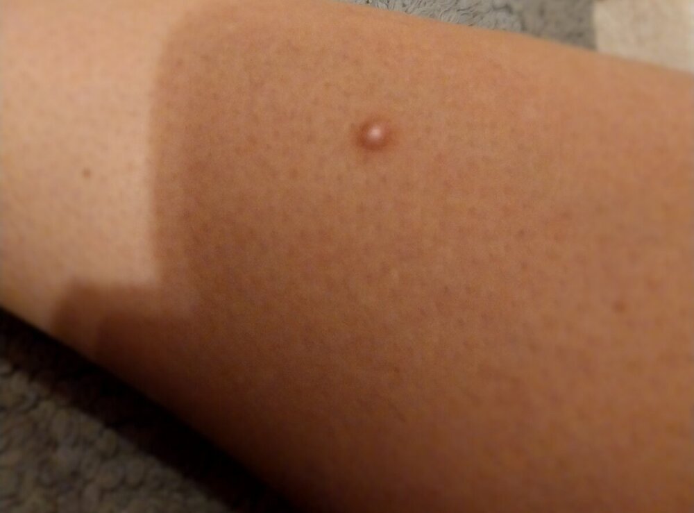 20231221_075509.jpg