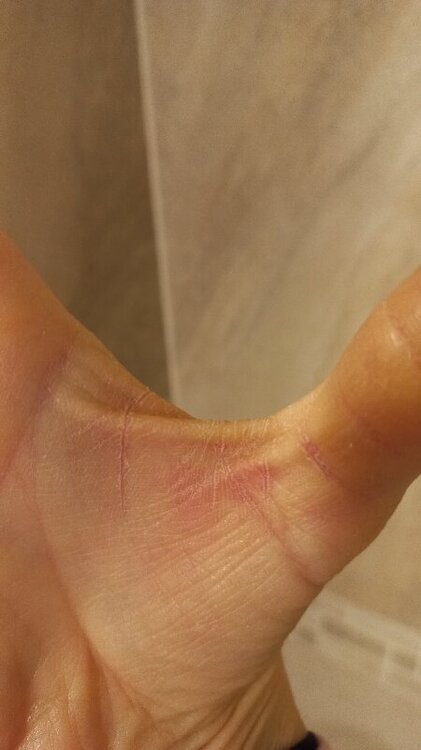 20231223_161409_resize_6.jpg