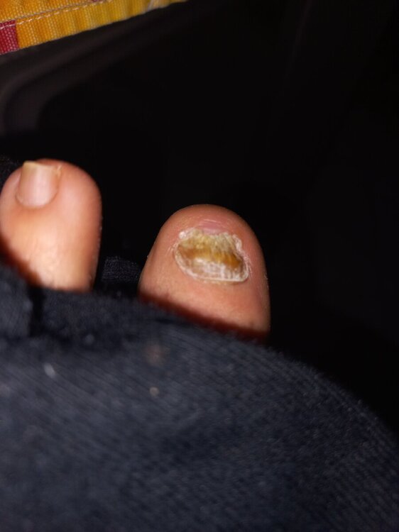 20231229_144113.jpg