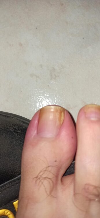 5ce5f6b5-19b0-4df9-b2e2-9a67b77b4955.thumb.jpg.d4d373ff77d8130b968afcf038b73c1b.jpg