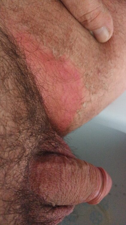 IMG-20231025-WA0014.thumb.jpeg.d091a1c83afaee61127e0c49d035cea9.jpeg