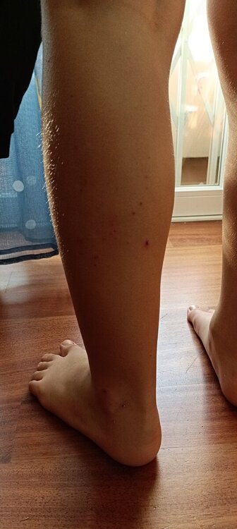 IMG20231217122931.jpg