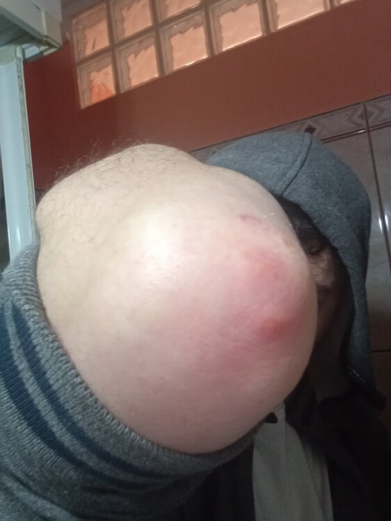 IMG20231221105531.jpg