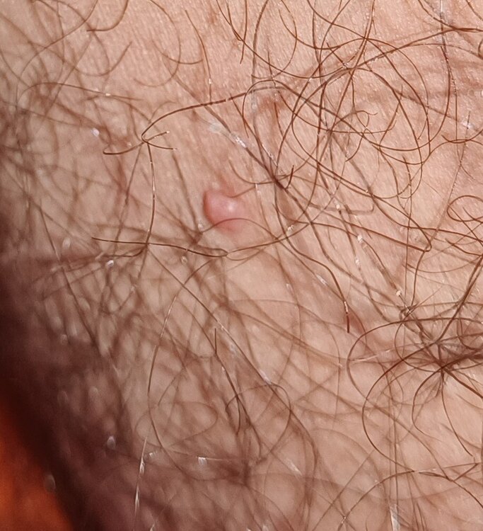 IMG20231225194148.jpg
