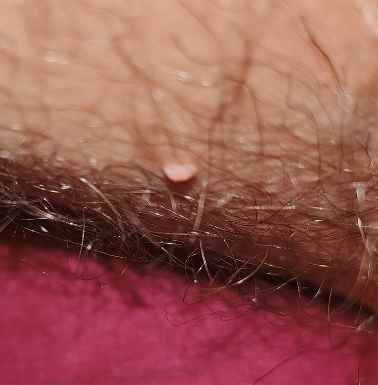 IMG20231225194222.jpg