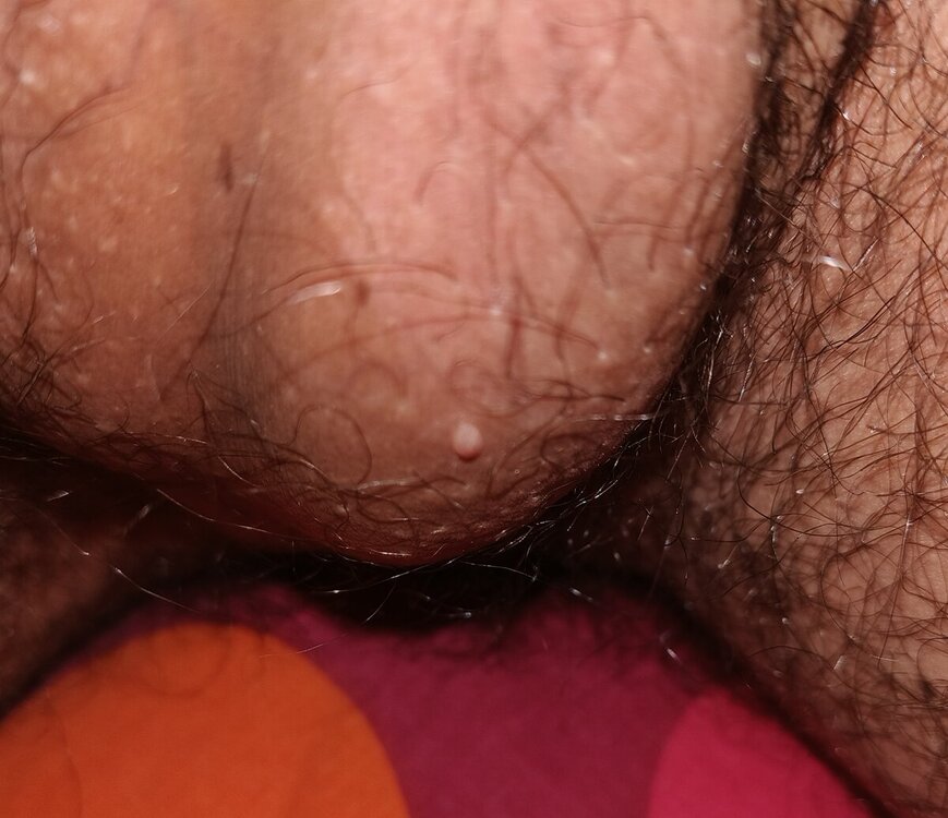 IMG20231225194543.thumb.jpg.9840628760379fa7aaf8a34f8a1ba4a1.jpg